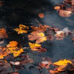 دانلود آهنگ جدید ستاره ها خیلی بودن بهشون میگفتی داداشم
